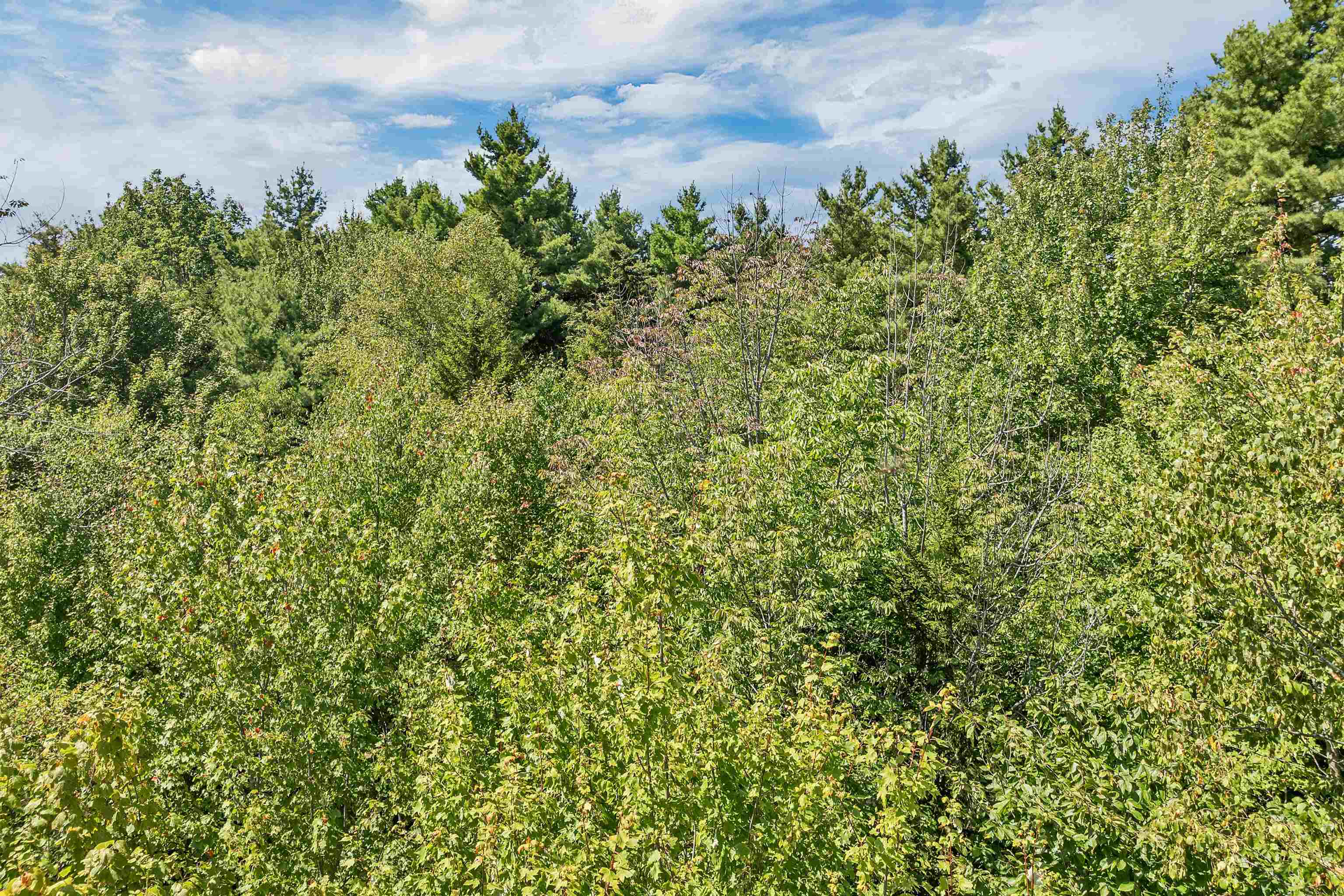 25 Upper Trask Mountain Road, Unit 6 Wolfeboro, NH 03894 - Photo 18 of 27