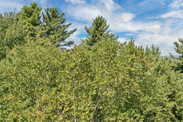 $225,000 | 25 Upper Trask Mountain Road, Unit 6, Wolfeboro, NH 03894