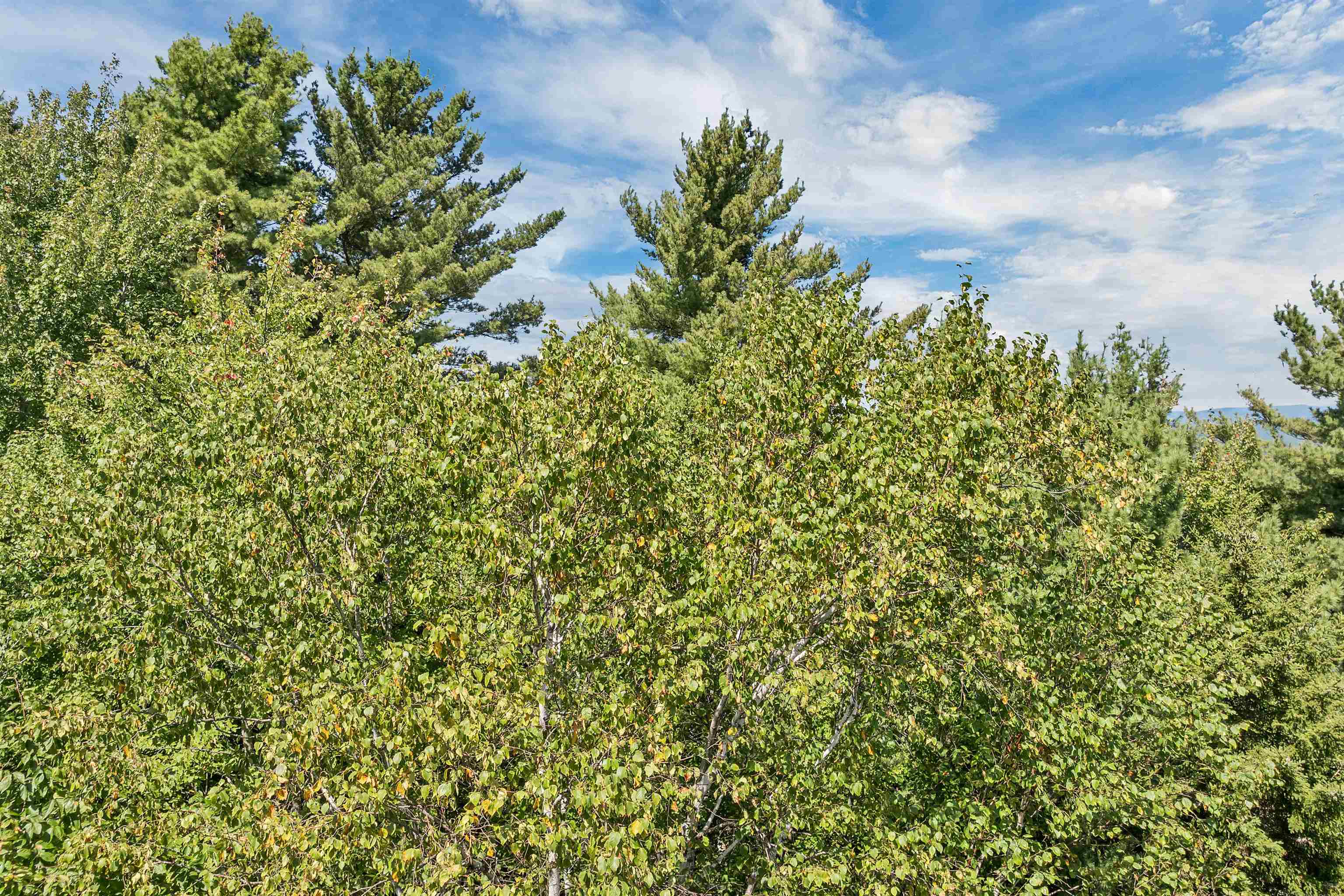 25 Upper Trask Mountain Road, Unit 6 Wolfeboro, NH 03894 - Photo 19 of 27