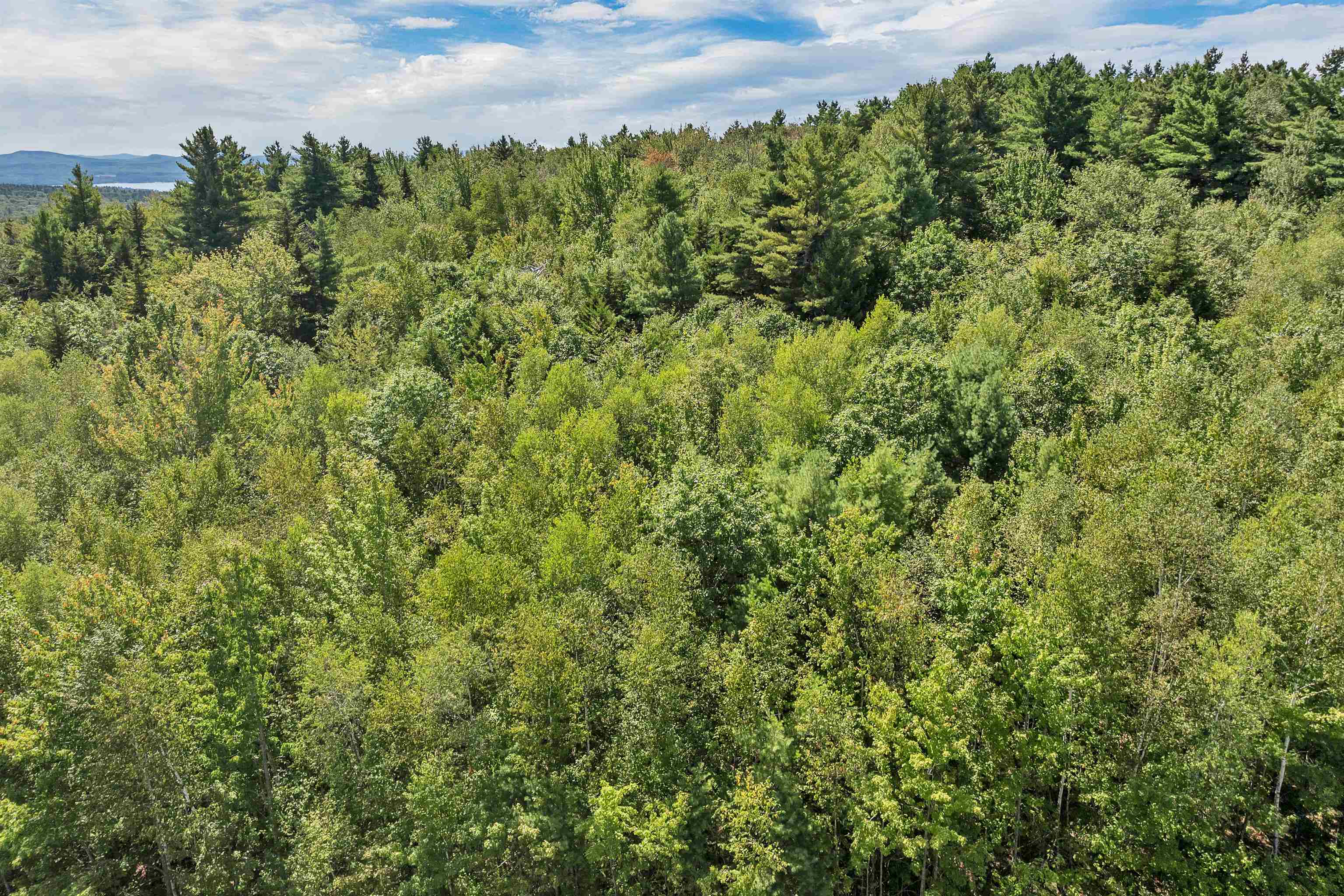 25 Upper Trask Mountain Road, Unit 6 Wolfeboro, NH 03894 - Photo 20 of 27