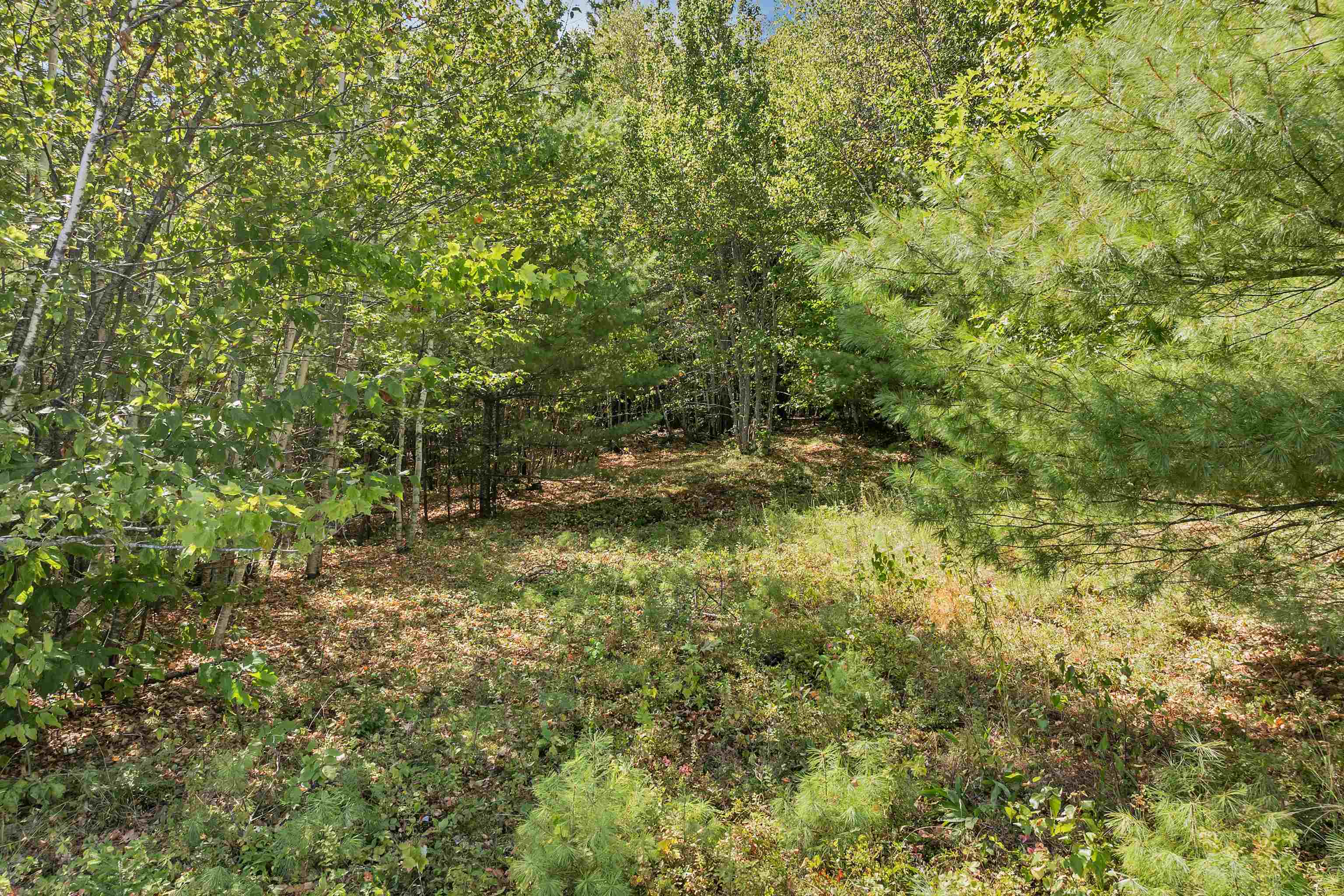 25 Upper Trask Mountain Road, Unit 6 Wolfeboro, NH 03894 - Photo 23 of 27