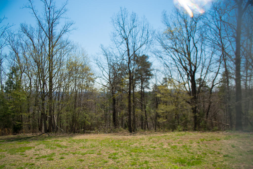 3035 Lower River Road Northwest Georgetown, TN 37336 - Photo 39 of 51 lowerriverroad-12