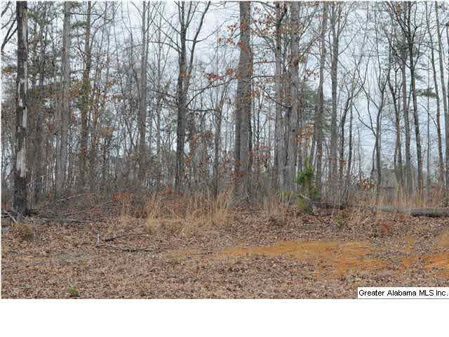12th Terrace, Unit 4 Pleasant Grove, AL 35127 - Photo 2 of 3