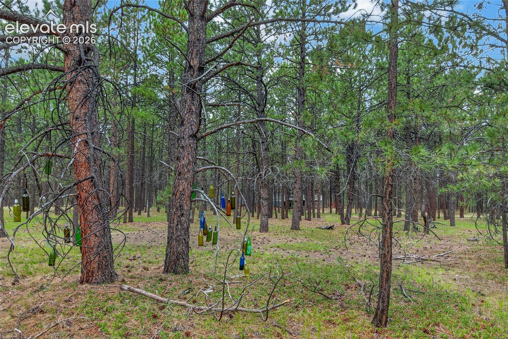 17695 Roller Coaster Road Monument, CO 80132 - Photo 12 of 46 Gallery Image 12