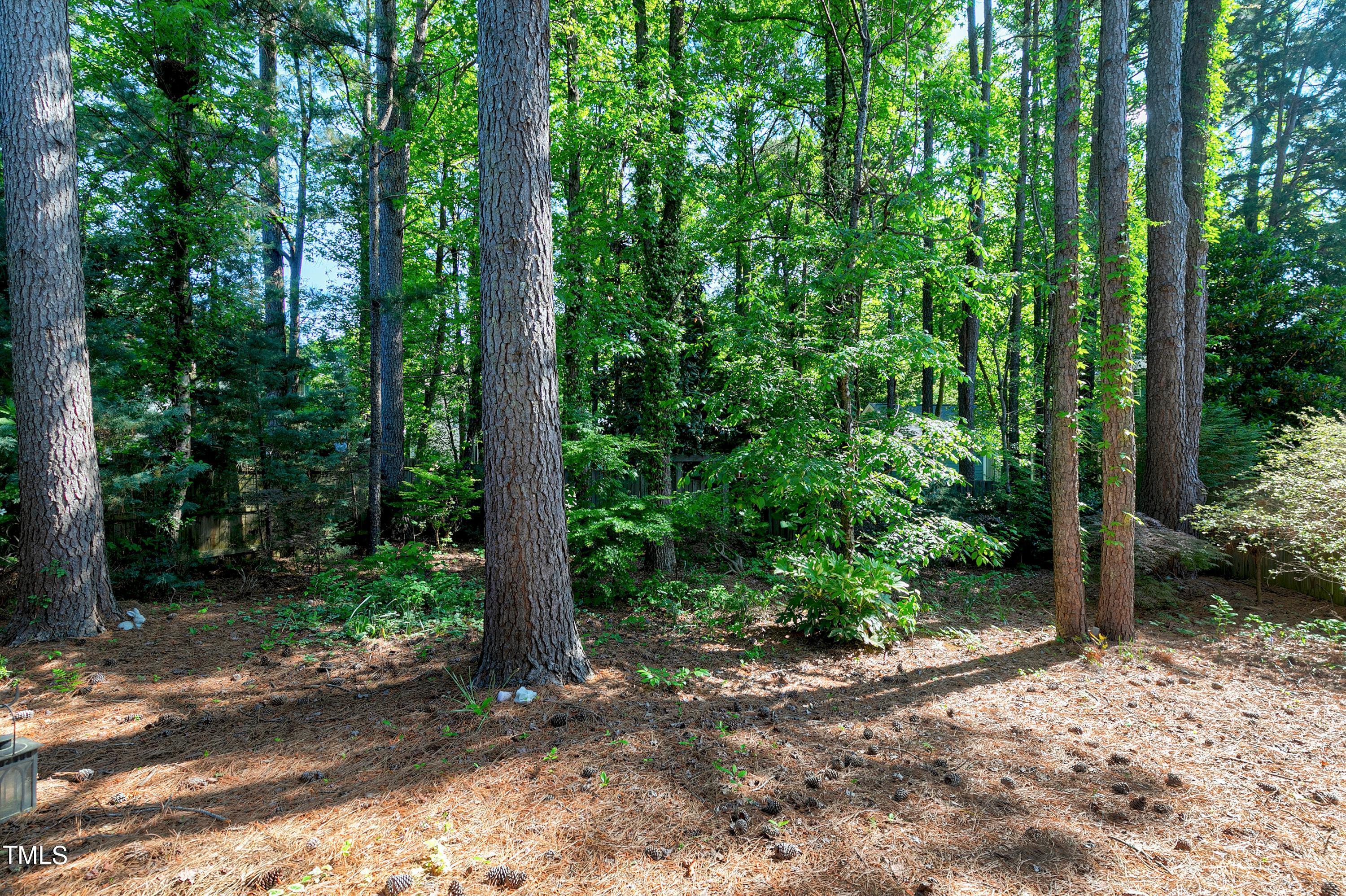 110 Rushing Wind Way Apex, NC 27502 - Photo 25 of 27 Fenced, wooded backyard