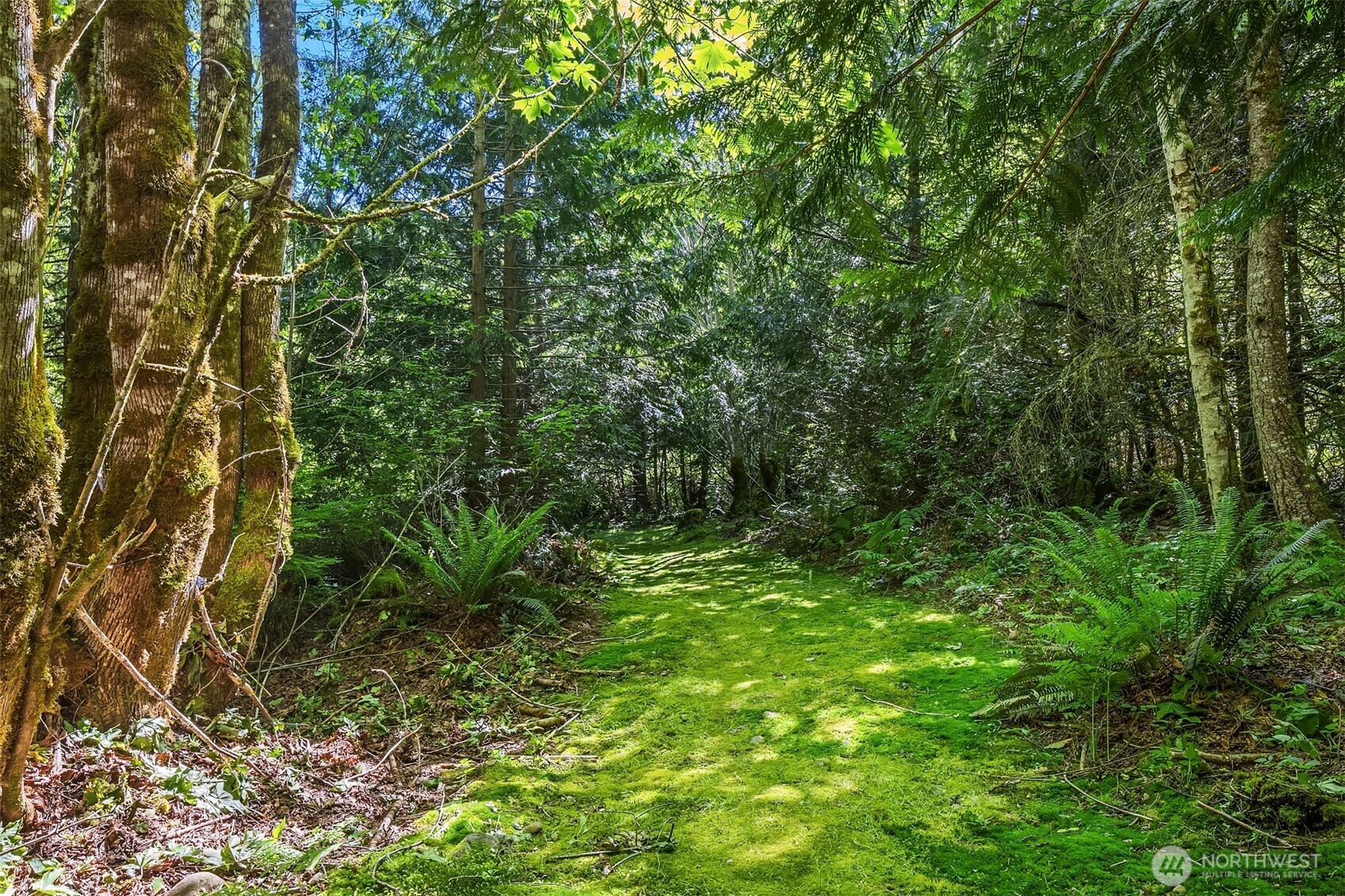 26970 Southeast Old Black Nugget Road Issaquah, WA 98029 - Photo 36 of 40