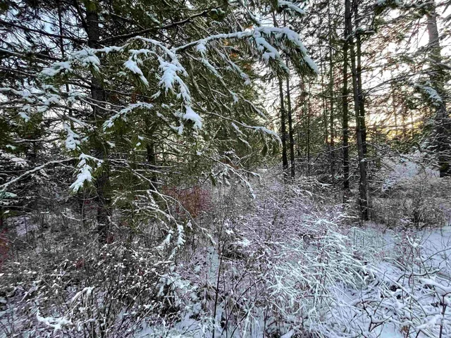 $325,000 | 5580 Hwy 8 Helmer Id 83823, Deary, ID 83823