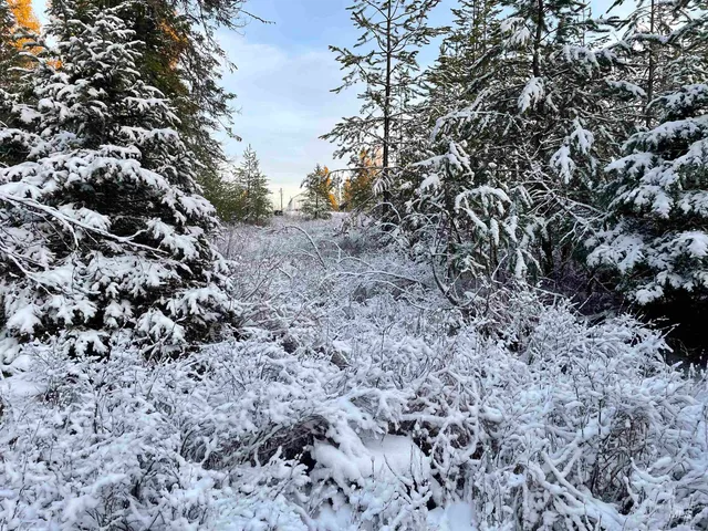 $325,000 | 5580 Hwy 8 Helmer Id 83823, Deary, ID 83823