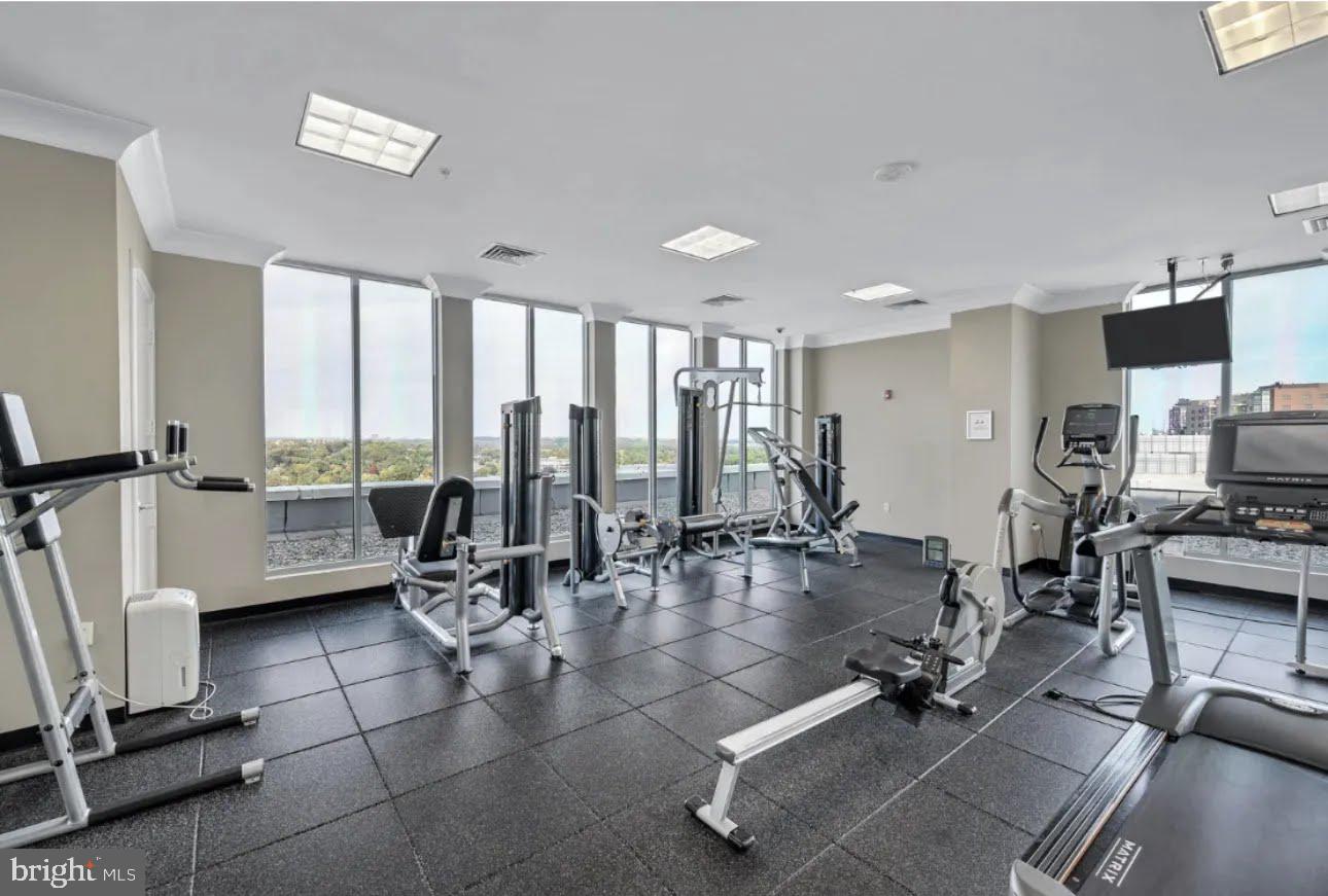 851 North Glebe Road, Unit 1516 Arlington, VA 22203 - Photo 38 of 52 Rooftop Gym