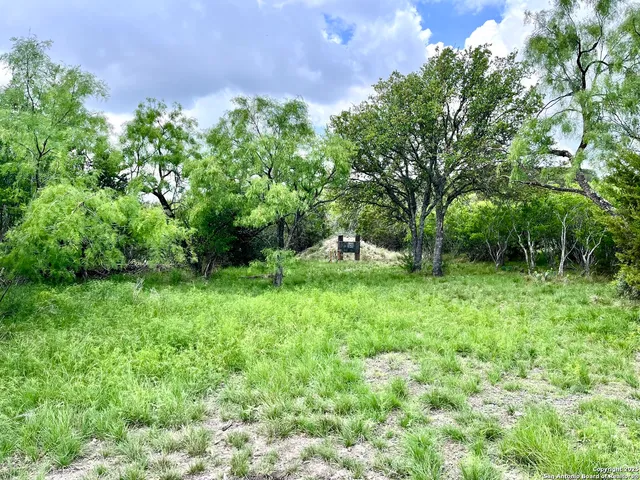 a view of a park with a slide