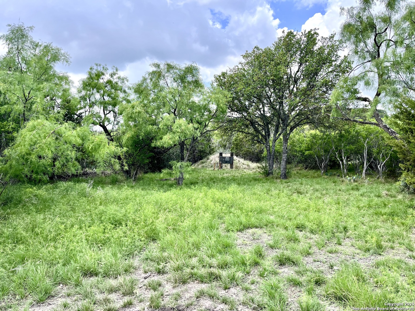 1446 Big Draw Drive Junction, TX 76849 - Photo 38 of 55 a view of backyard with green space