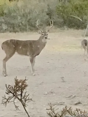 a view of beach and covered with green space