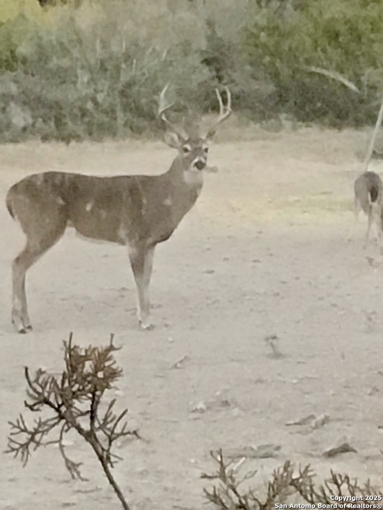 1446 Big Draw Drive Junction, TX 76849 - Photo 41 of 55