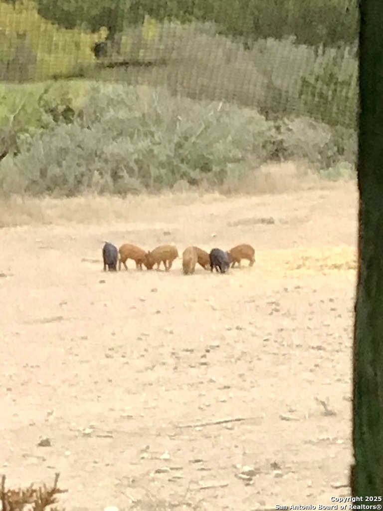 1446 Big Draw Drive Junction, TX 76849 - Photo 42 of 55 a bathroom with a shower
