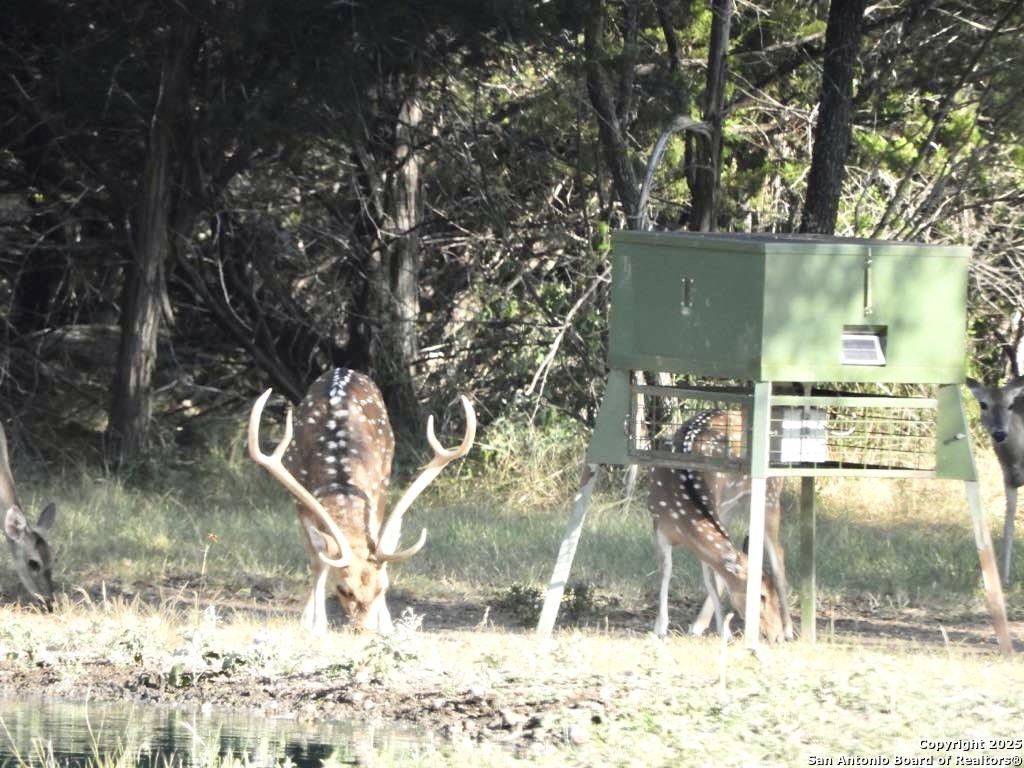1446 Big Draw Drive Junction, TX 76849 - Photo 43 of 55 a view of outdoor space