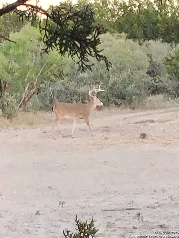 a view of outdoor space and seating area