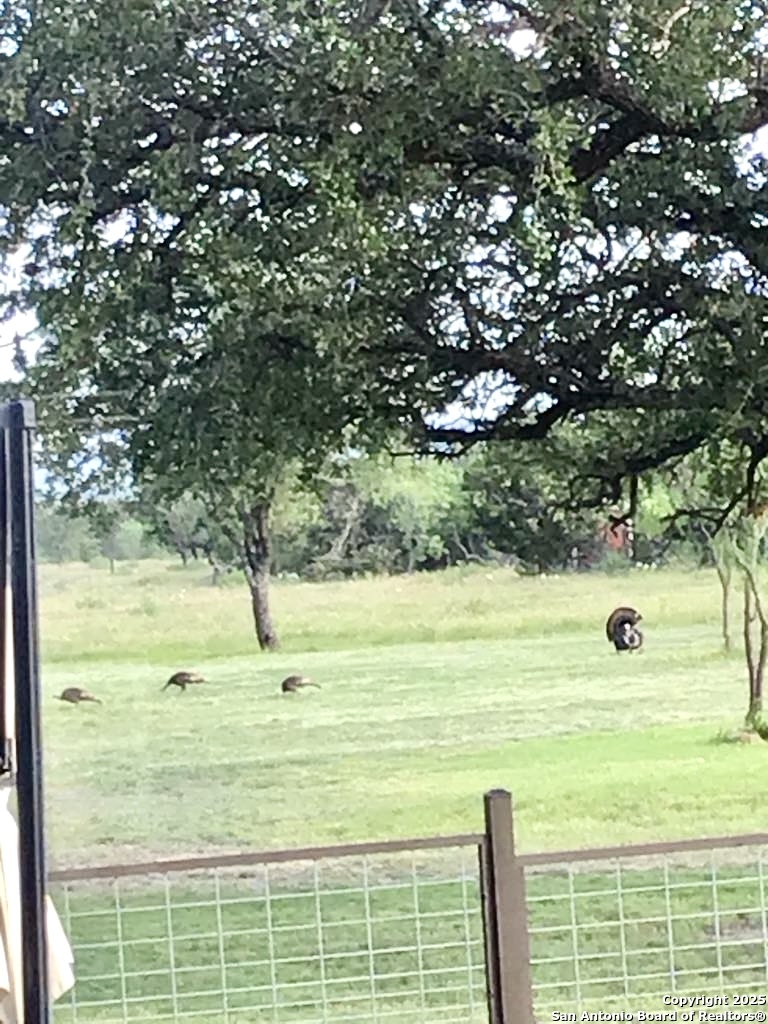 1446 Big Draw Drive Junction, TX 76849 - Photo 46 of 55 a view of an ocean view