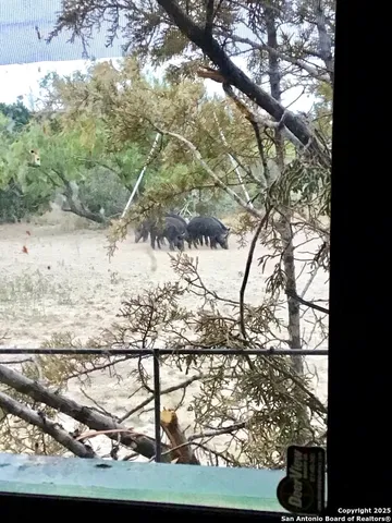a view of a pathway with a big yard