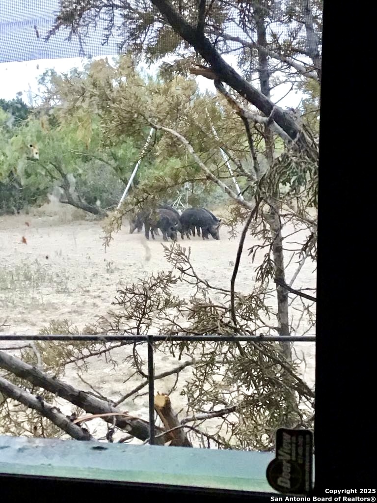 1446 Big Draw Drive Junction, TX 76849 - Photo 47 of 55 a view of a yard with wooden fence