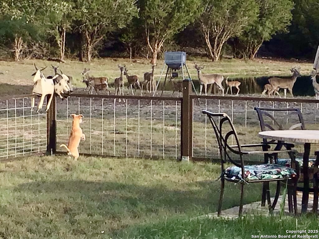 1446 Big Draw Drive Junction, TX 76849 - Photo 48 of 55 a view of outdoor space and seating area