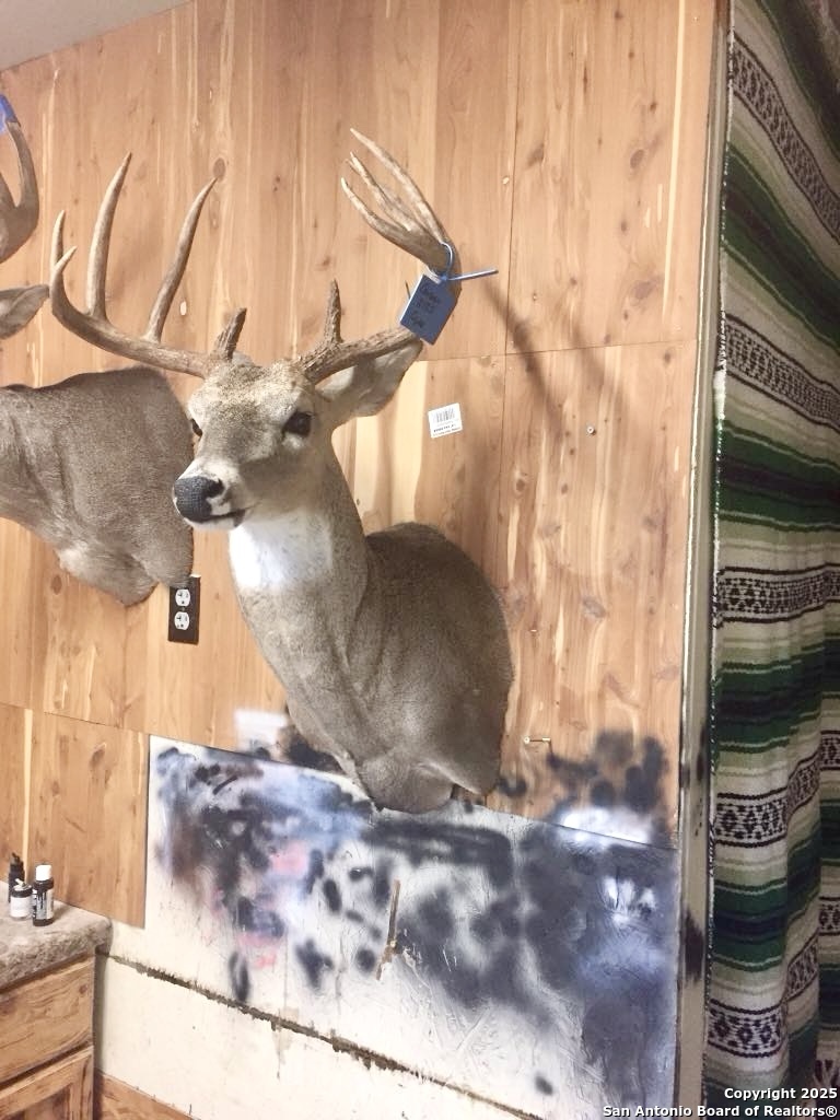 1446 Big Draw Drive Junction, TX 76849 - Photo 49 of 55