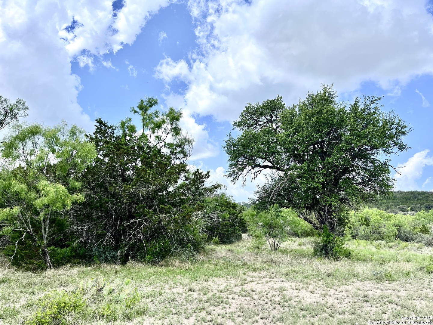 1446 Big Draw Drive Junction, TX 76849 - Photo 50 of 55 a view of a yard