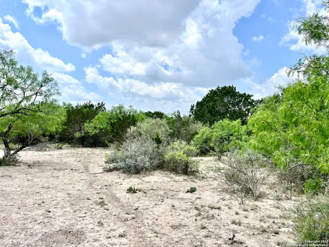 $995,000 | 1446 Big Draw Drive, Junction, TX 76849