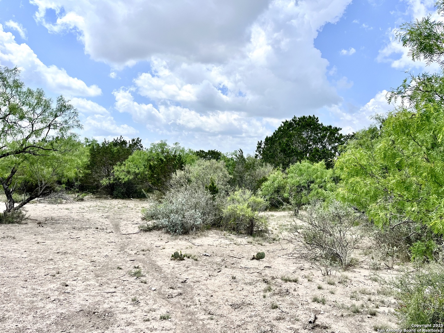 1446 Big Draw Drive Junction, TX 76849 - Photo 51 of 55 a view of a yard with a tree