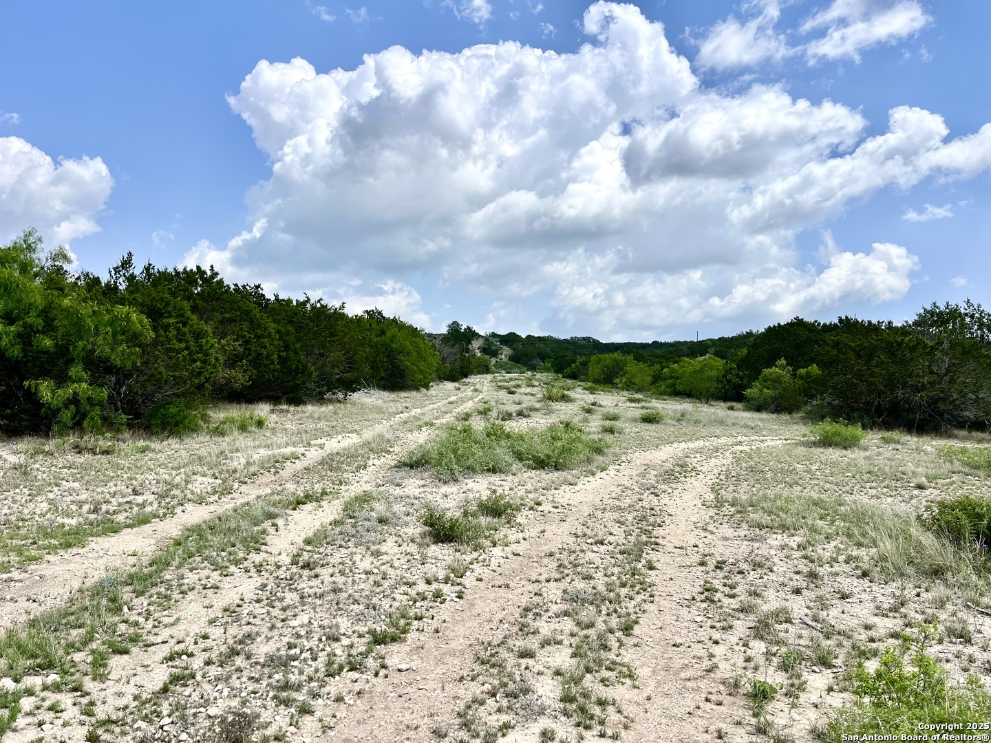 1446 Big Draw Drive Junction, TX 76849 - Photo 52 of 55 a view of a pathway with a big yard