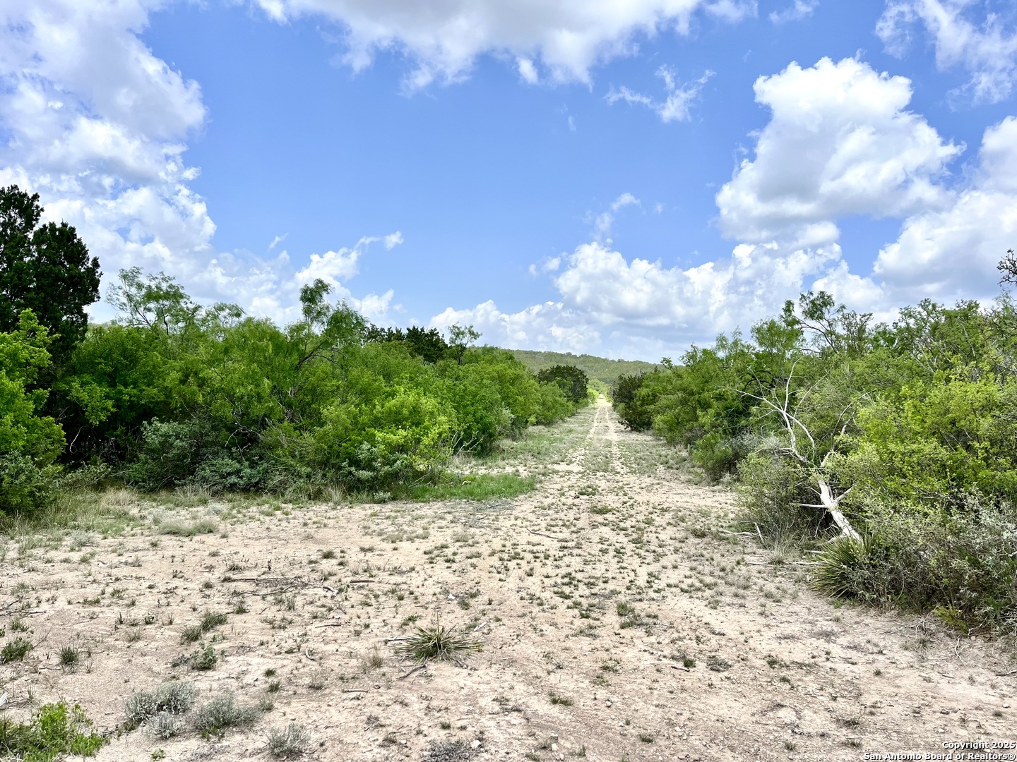 1446 Big Draw Drive Junction, TX 76849 - Photo 53 of 55 a view of a pathway with a yard