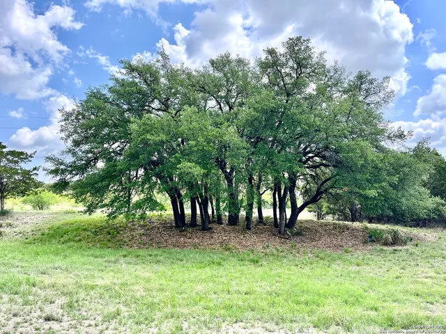 $995,000 | 1446 Big Draw Drive, Junction, TX 76849