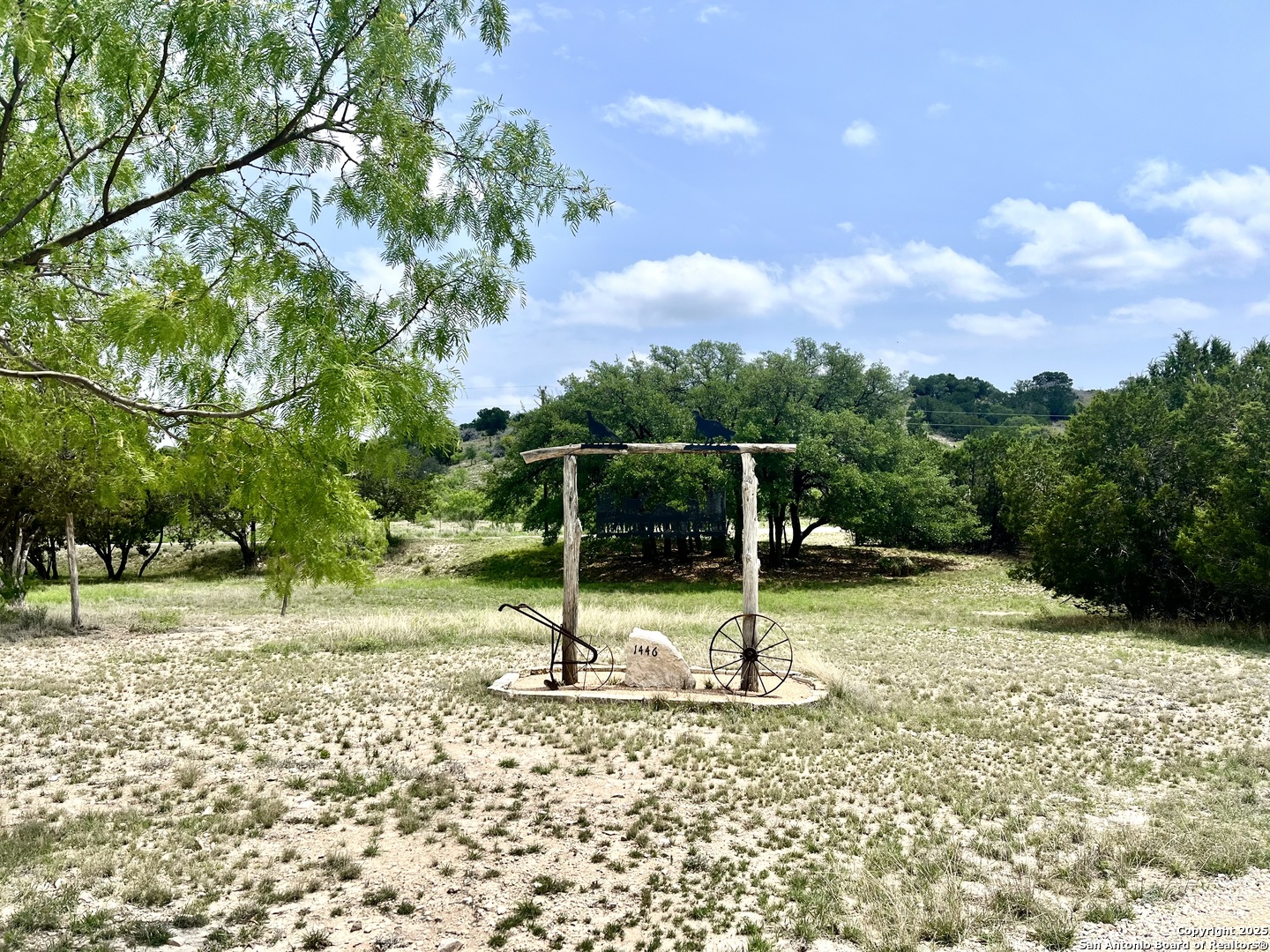 1446 Big Draw Drive Junction, TX 76849 - Photo 55 of 55 a view of a tree in a yard