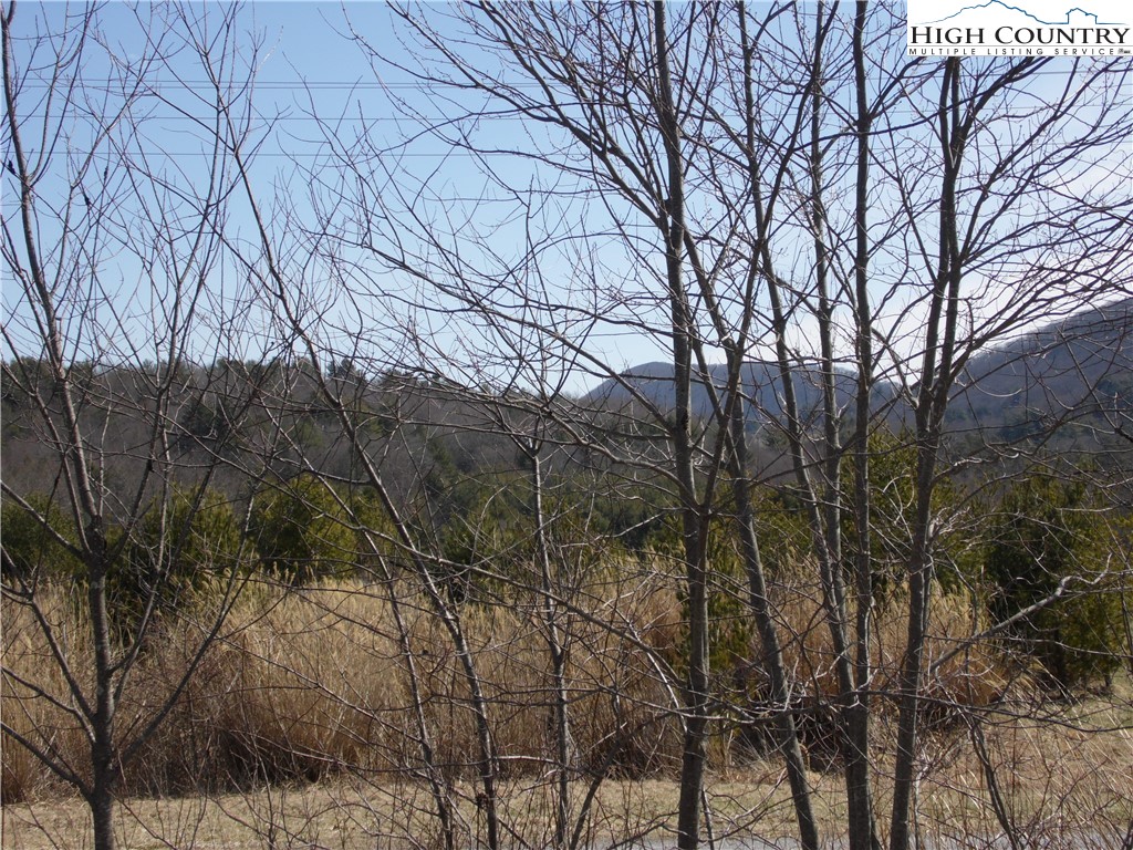 Brown Road Sparta, NC 28675 - Photo 20 of 20 Gallery Image 20