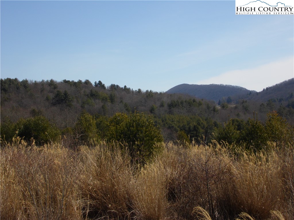 Brown Road Sparta, NC 28675 - Photo 2 of 20 Gallery Image 2