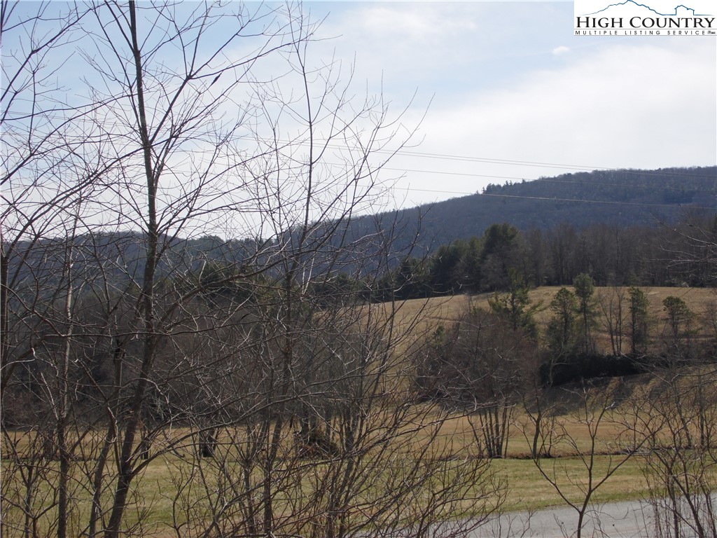 Brown Road Sparta, NC 28675 - Photo 3 of 20 Gallery Image 3