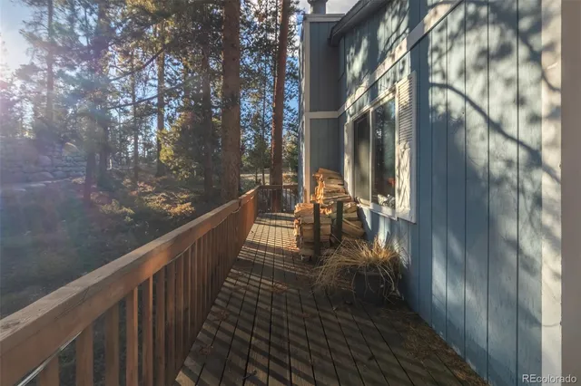 a view of a house with a small yard plants and large tree