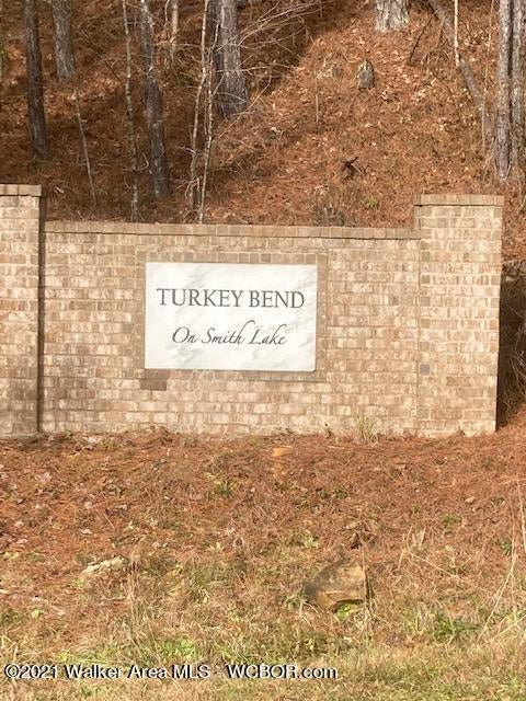 6 Turkey Bend Road Addison, AL 35540 - Photo 1 of 3 Gallery Image 1