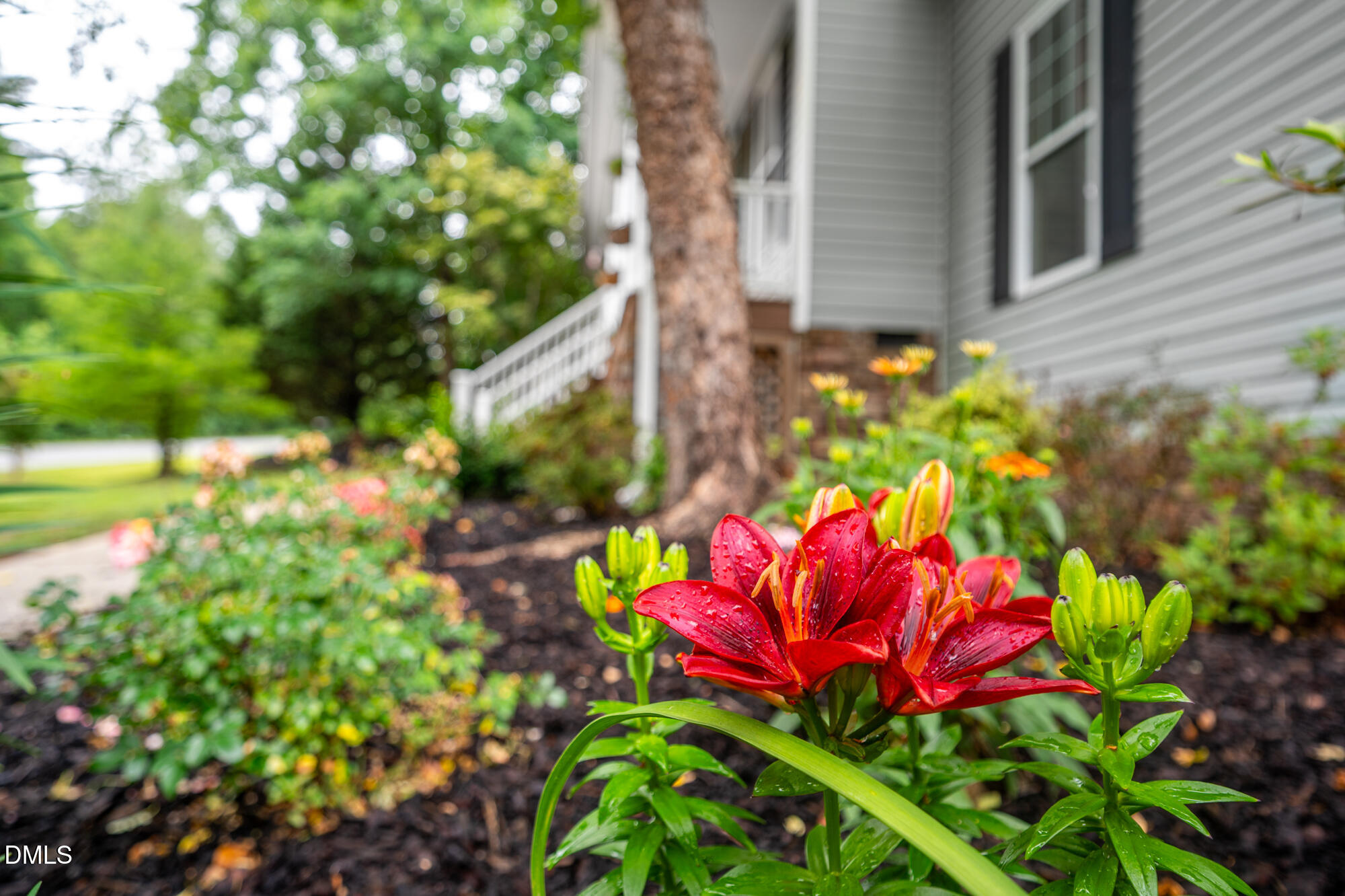 726 Ruth Circle Fuquay-Varina, NC 27526 - Photo 3 of 61 a view of a flower