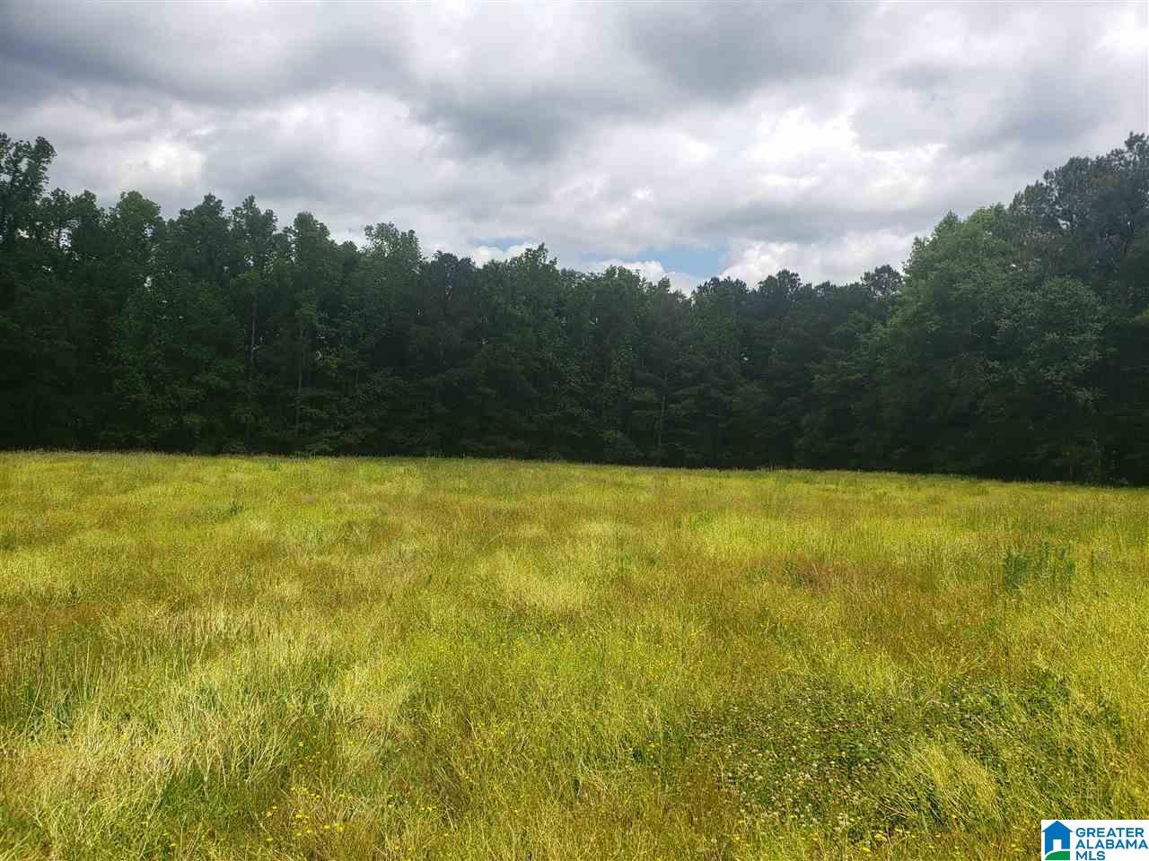 0 County Road 36 Heflin, AL 36264 - Photo 6 of 11