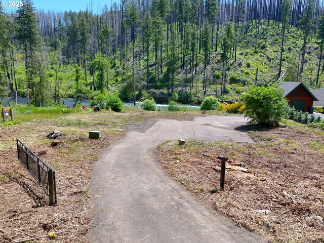 a view of a dry yard with trees