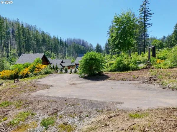 $350,000 | 47772 McKenzie Highway, Vida, OR 97488