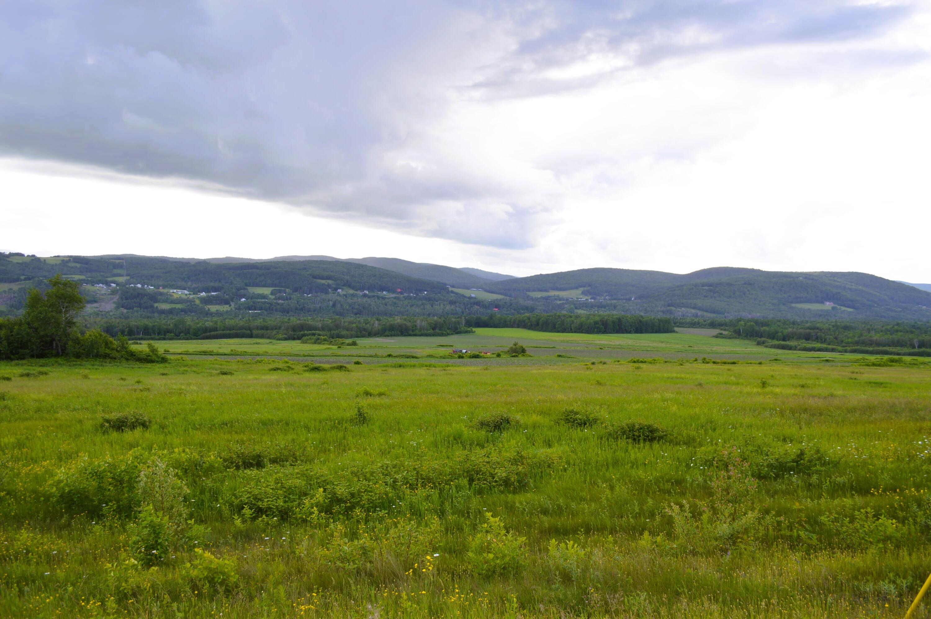 348 Strip Road Wallagrass, ME 04781 - Photo 34 of 43