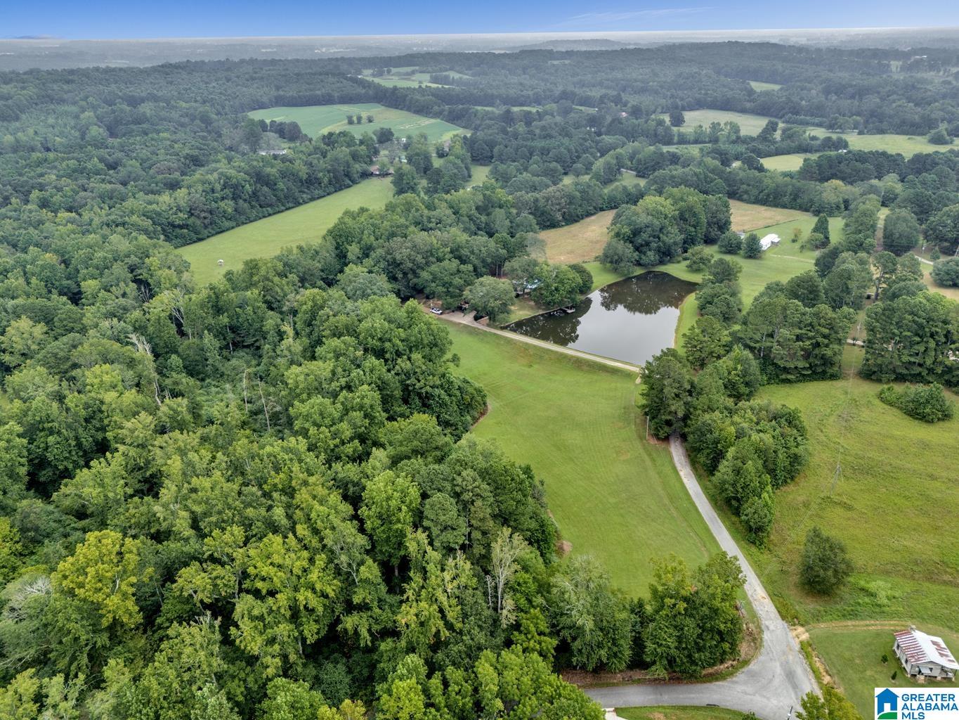 1695 Kent Road Oneonta, AL 35121 - Photo 24 of 70