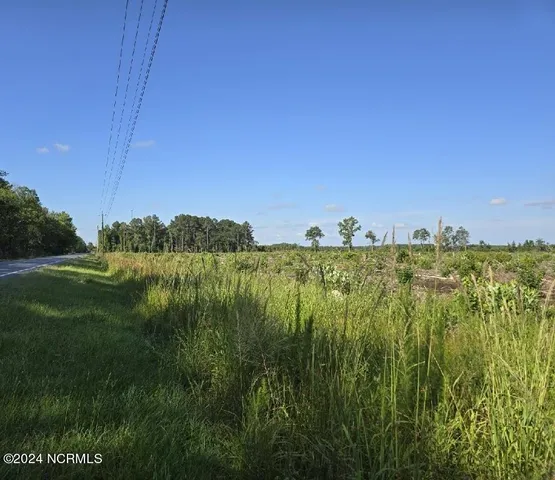 $585,000 | 0 Us 17, Chocowinity, NC 27817