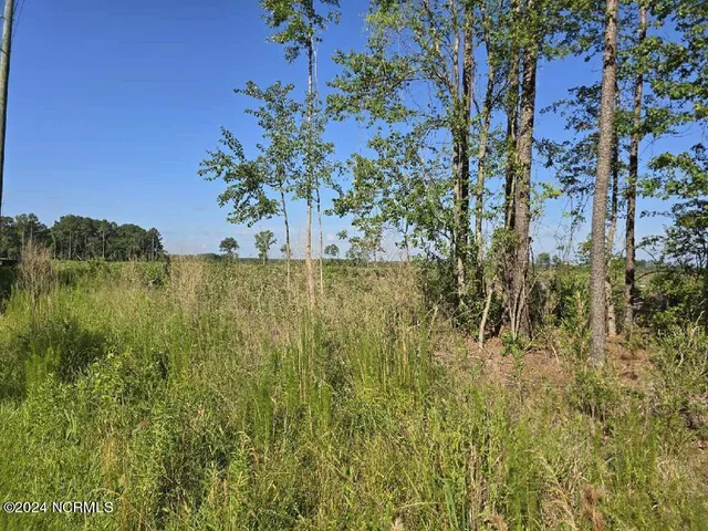 $585,000 | 0 Us 17, Chocowinity, NC 27817