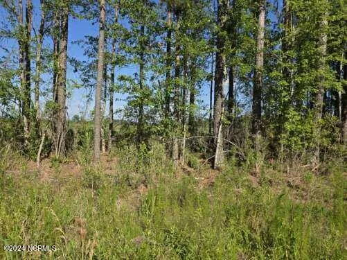 $585,000 | 0 Us 17, Chocowinity, NC 27817