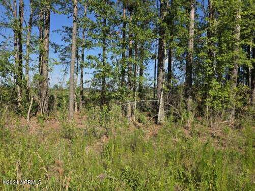 0 Us 17 Chocowinity, NC 27817 - Photo 9 of 9 image5