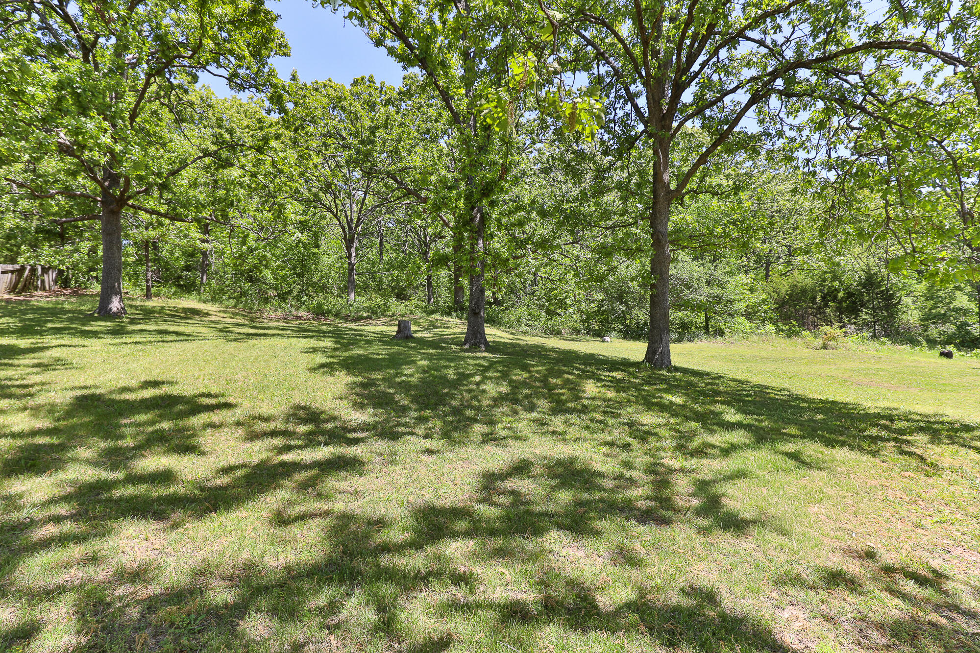 137 Hillside Loop Marshfield, MO 65706 - Photo 46 of 48 yard