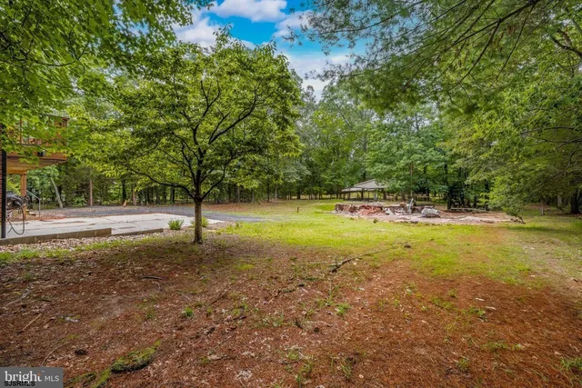 a view of a tree in a yard