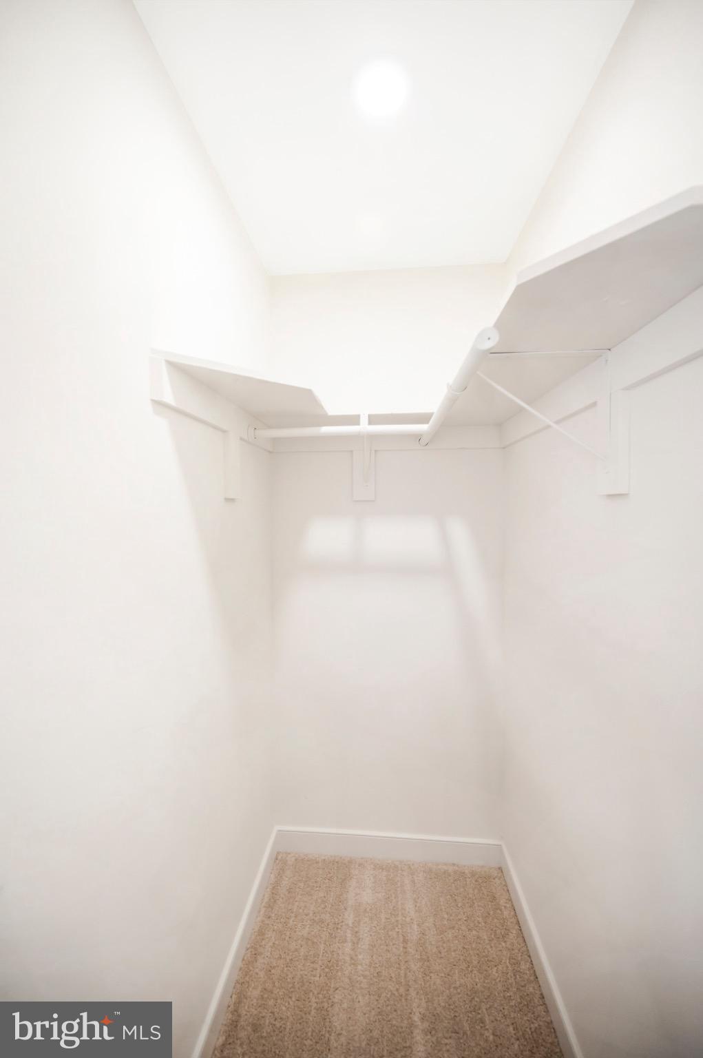 223 Spotswood Road Locust Grove, VA 22508 - Photo 30 of 64 Spacious, minimalist closet ready for organizat...